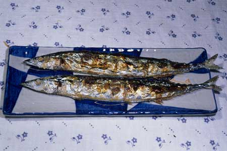 F-90X 60mm RVP ����